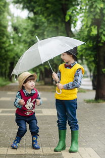 雨伞雨具，网购达人选购指南